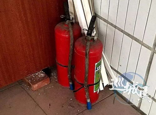 湛江人须知 对公安部这个禁令,违反者有可能入刑